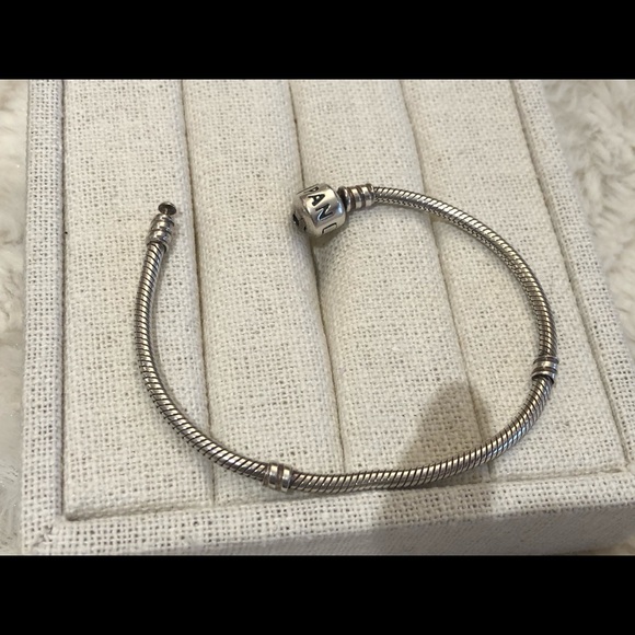 Pandora Moments Snake chain bracelet